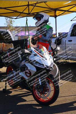 media/Jul-19-2025-TrackDaz (Sat) [[ff1509a44a]]/Around the Pits/
